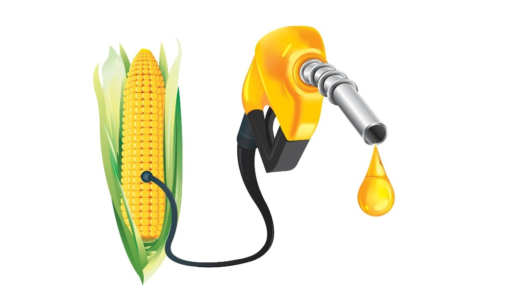 Buyofuel achieves 5X growth, reduces 80,000 MT CO2 emissions through clients
